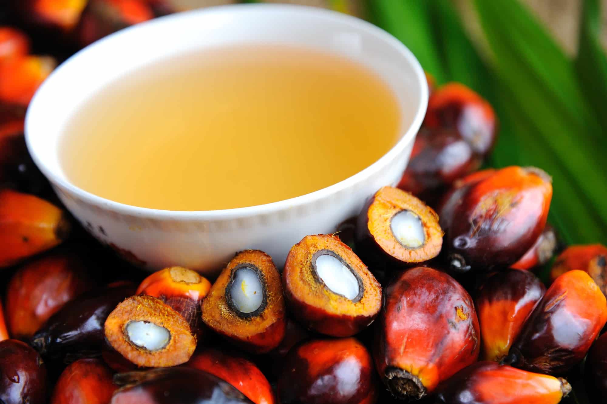 Palm Kernel Oil Product