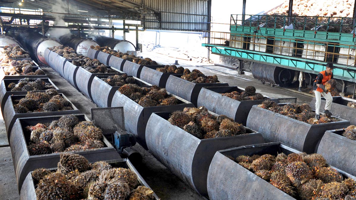 Production Process