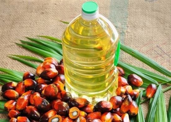 Refined Palm Oil Product